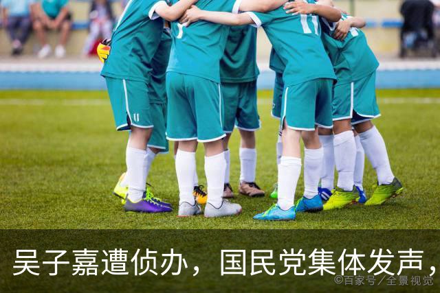 吴子嘉遭侦办，国民党集体发声，郑丽文重磅发声，民进党放人了？