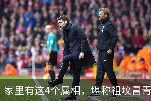 家里有这4个属相，堪称祖坟冒青烟，财运旺福气足