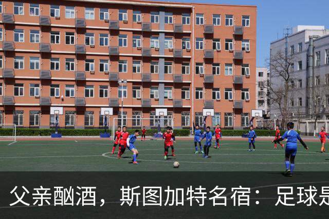 父亲酗酒，斯图加特名宿：足球是我的港湾；没想到会德甲夺冠