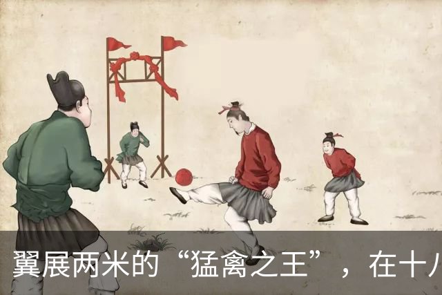 翼展两米的“猛禽之王”，在十八里长峡被拍到了