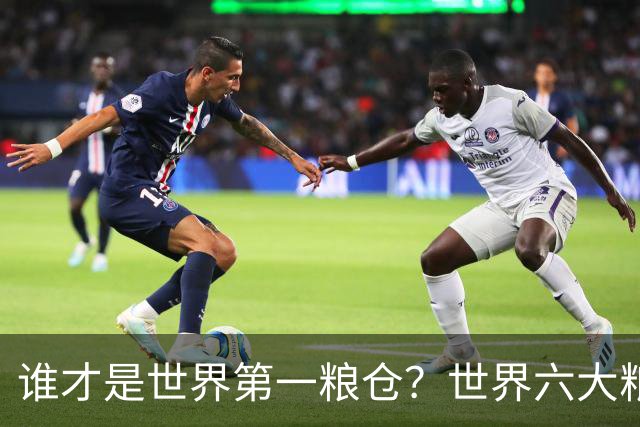 谁才是世界第一粮仓？世界六大粮食生产国，都有谁？